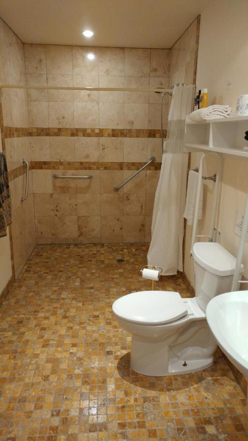 Lionheart B&B Lions Head Εξωτερικό φωτογραφία